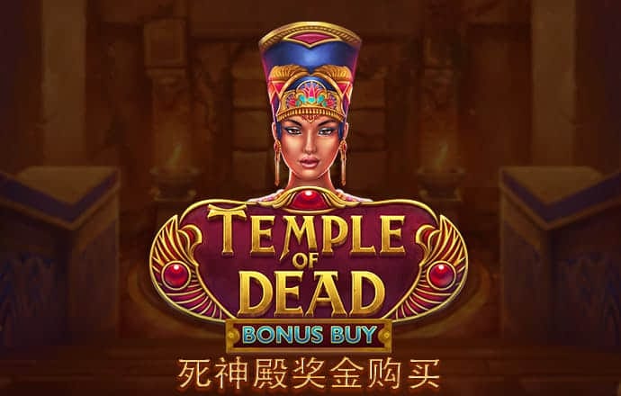 赛酷体育手机版下载